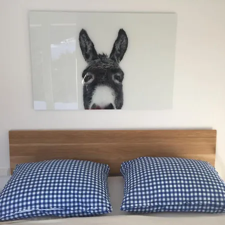 アパート Privatwohnung Am Prielerweg In ヒンターシュトダー