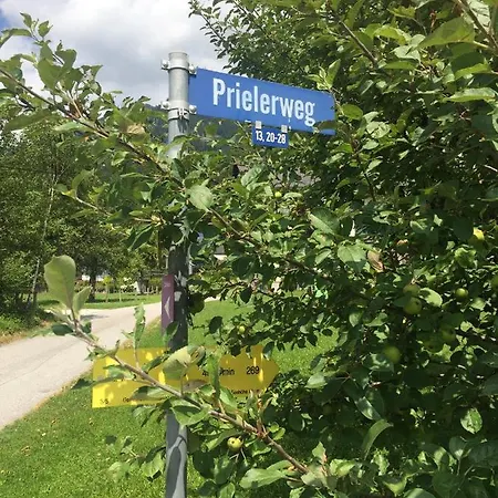 Privatwohnung Am Prielerweg In Appartement Hinterstoder
